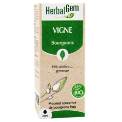 Herbalgem Macérat Concentré...